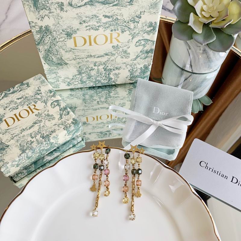 Dior Earring 03lyr193